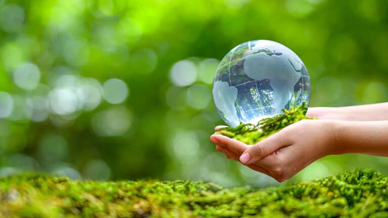 Zaštita okoliša: 4 načela življenja kojima se izravno utječe na zaštitu okoliša